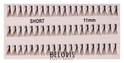 Триумф
                                    
                                                                                        11 мм. Пучки ресниц разной длины Fashion Lashes (цены, отзывы, описание)