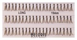 Триумф
                                    
                                                                                        15 мм. Пучки ресниц разной длины Fashion Lashes (цены, отзывы, описание)